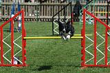AGILITY - SAUT 050